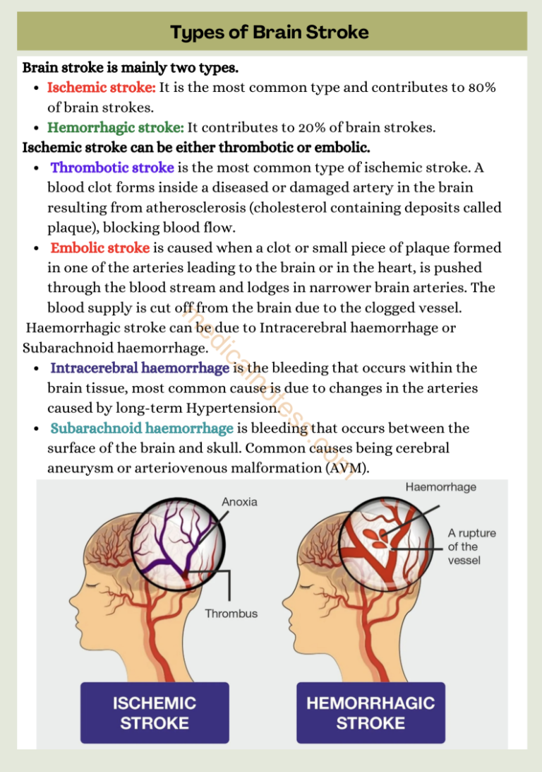 Screenshot 2024-12-17 at 9.37.09 PM